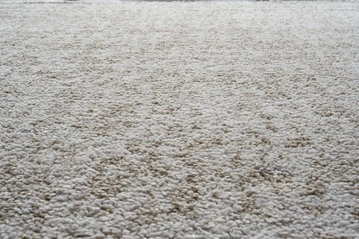 3460 Granada Rug - Image 7