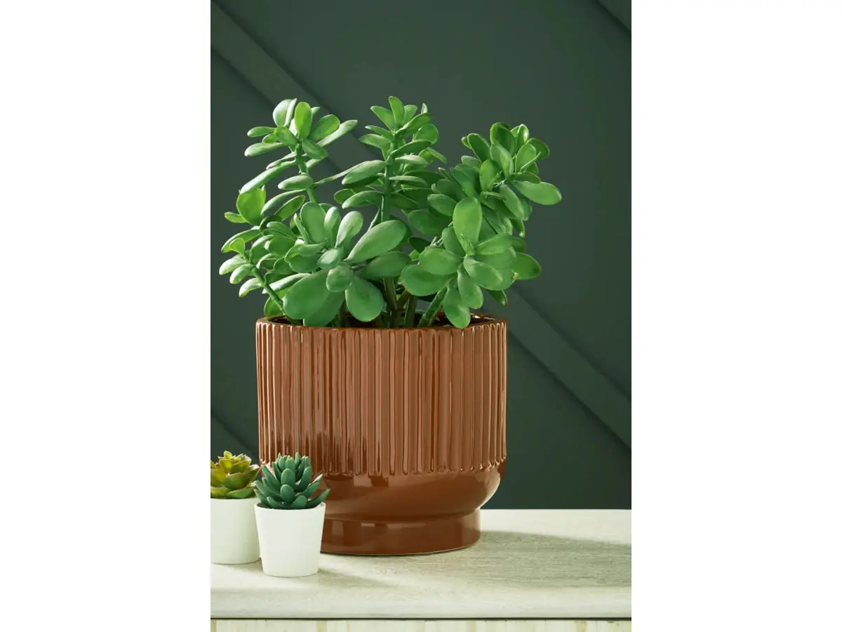 Avalyah Vase - Image 11