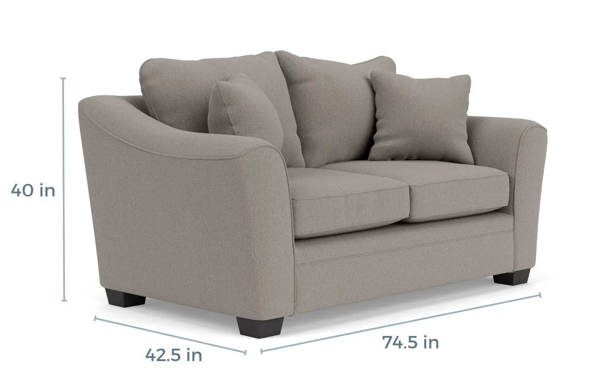 Brazil Sofa & Loveseat Custom - Image 8