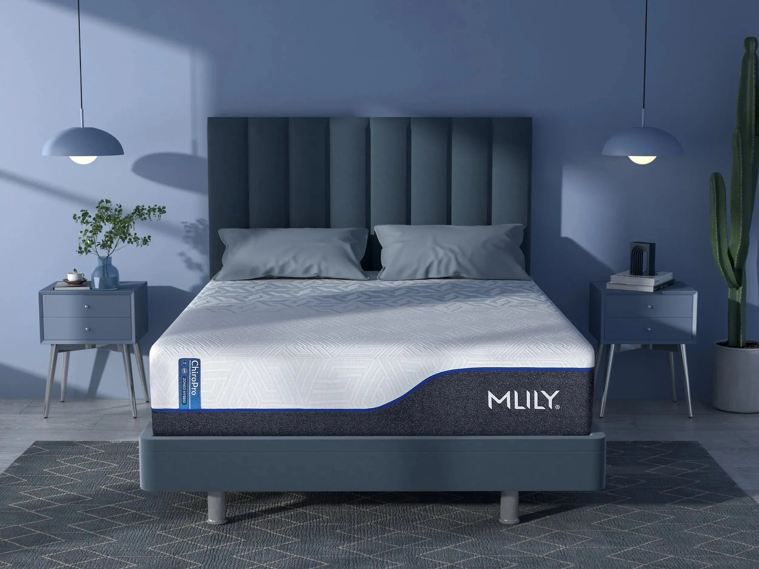 Chiropro 1.0 Firm Mattress