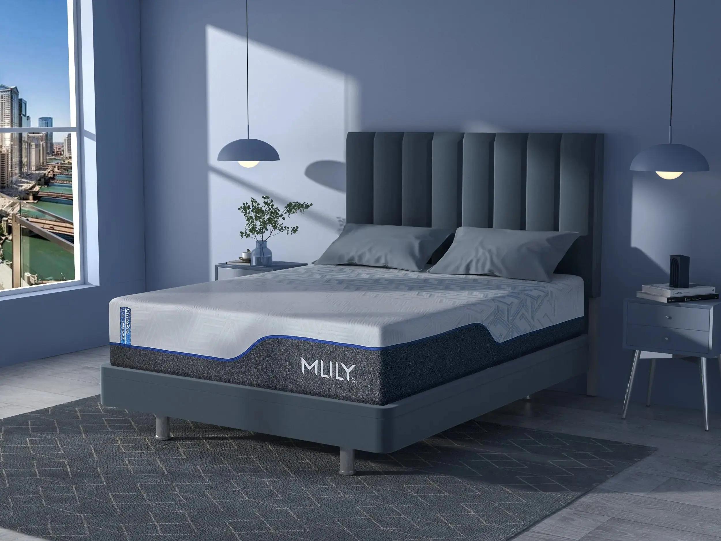 Chiropro 1.0 Firm Mattress - Image 44