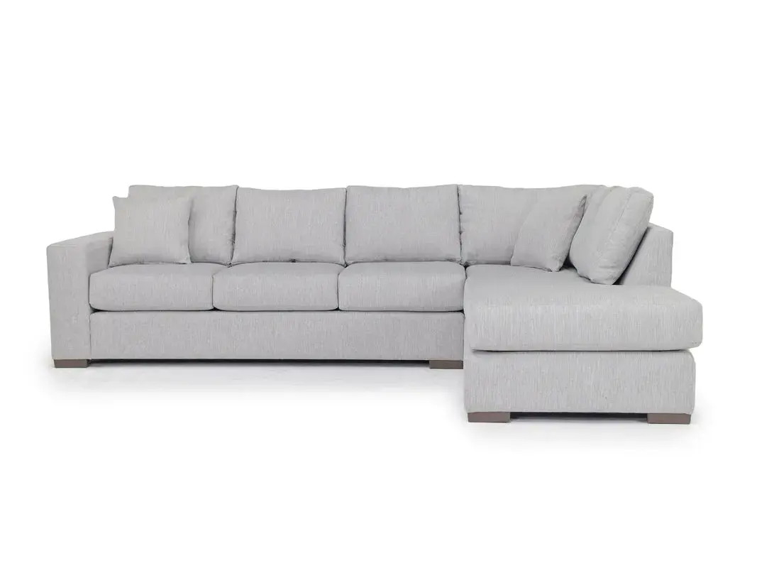 Dennon Sofa Chaise Sectional - Image 4