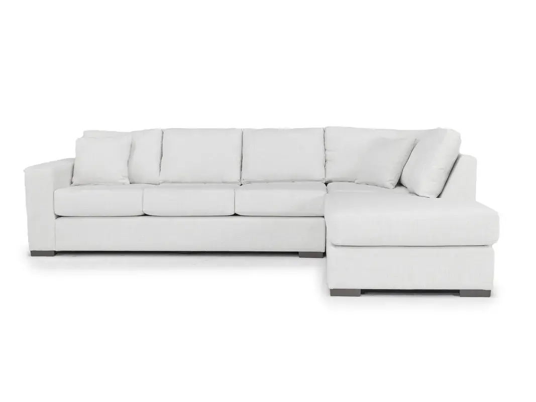 Dennon Sofa Chaise Sectional - Image 6