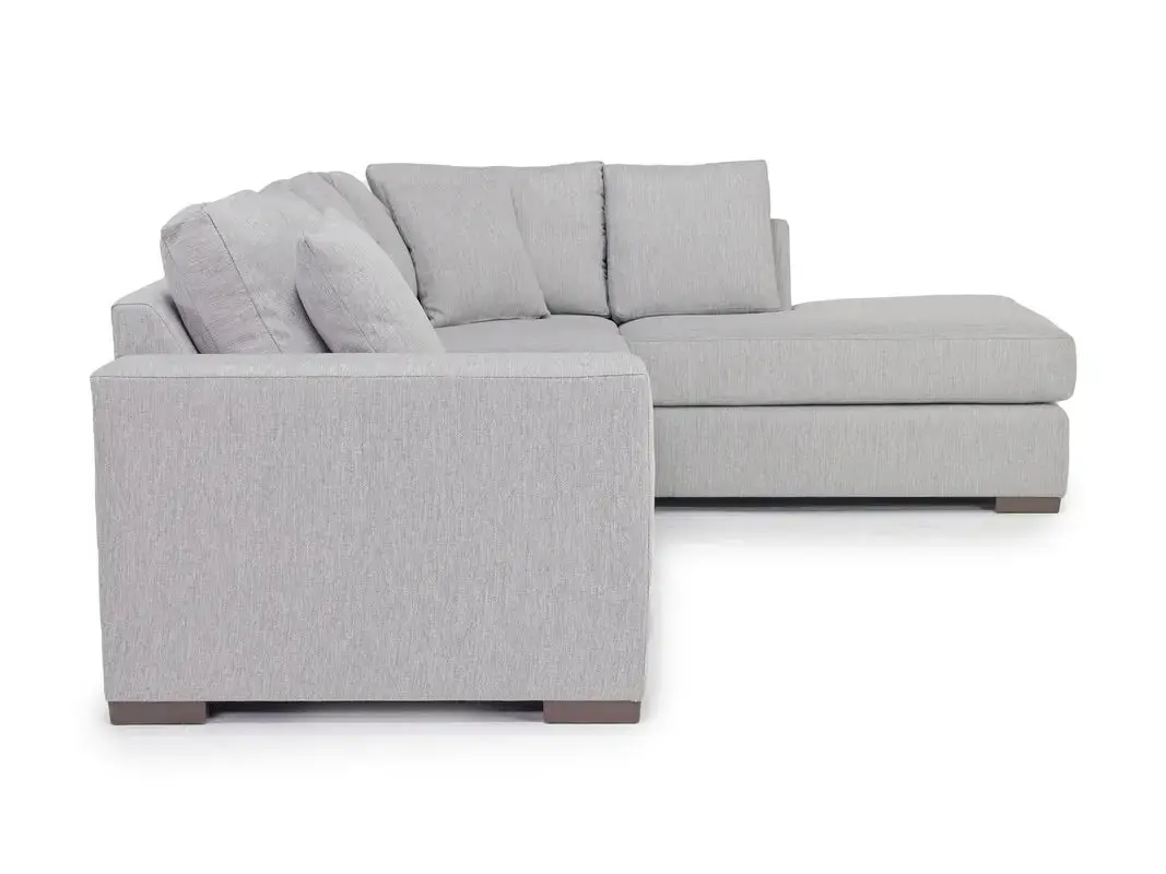 Dennon Sofa Chaise Sectional - Image 7