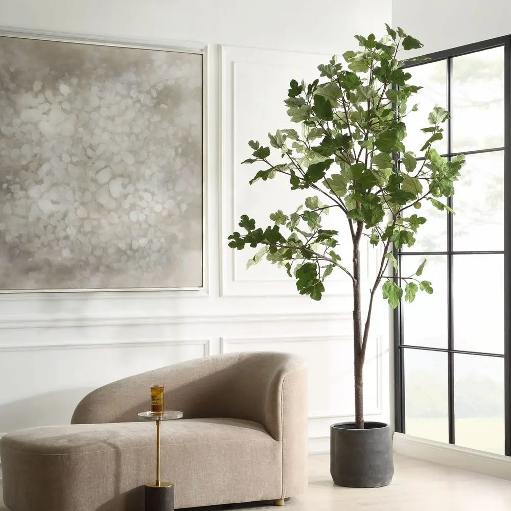 Eden Plant - Image 3