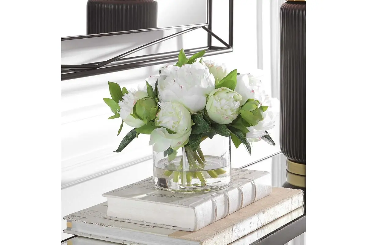 Garden Peony Plant - Image 2