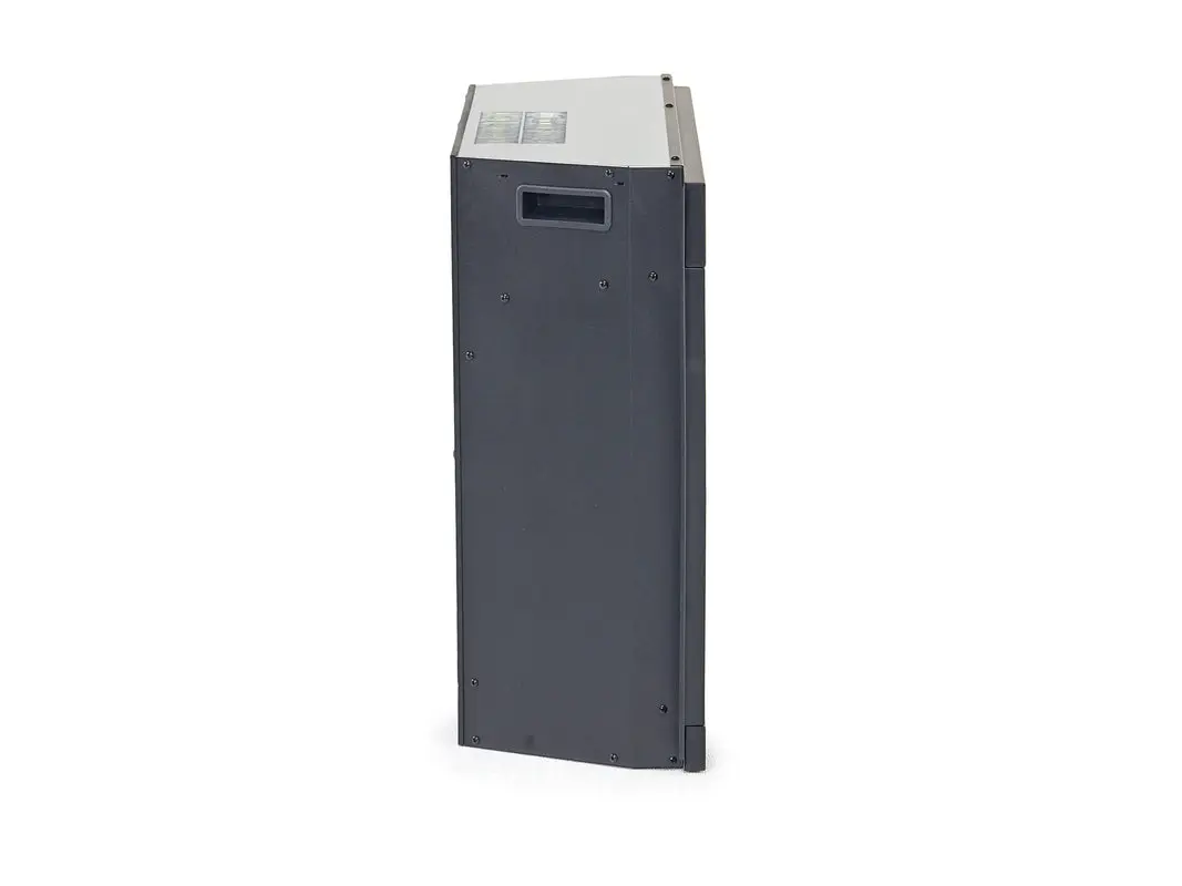 Manning Fireplace Insert - Image 3