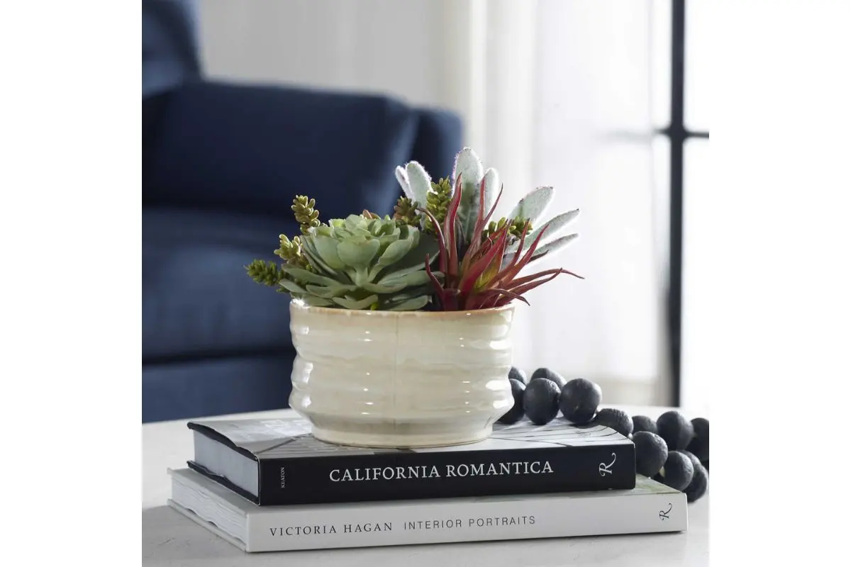 Mesa Succulent Plant - Image 3