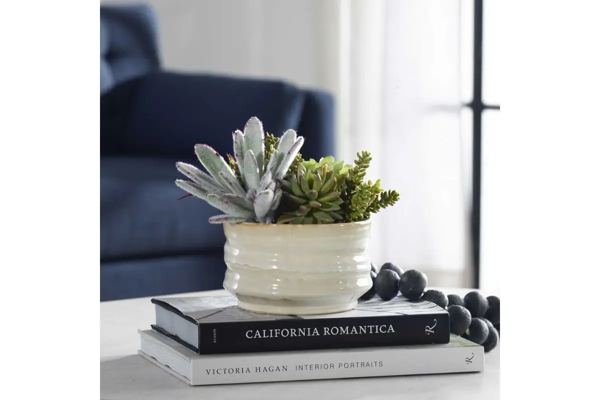 Mesa Succulent Plant - Image 4