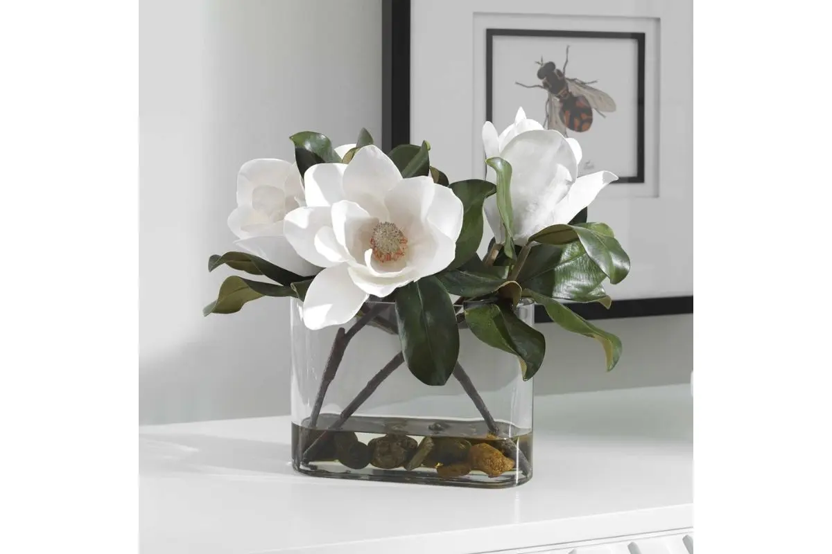 Middleton Magnolia Plant - Image 2