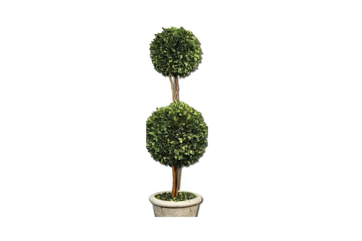 Oval Sculpture - Image 3