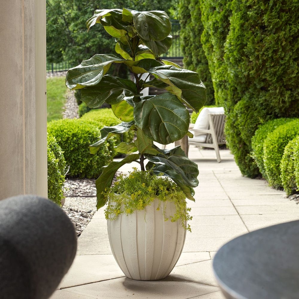 Ridgehaven Vase - Image 6