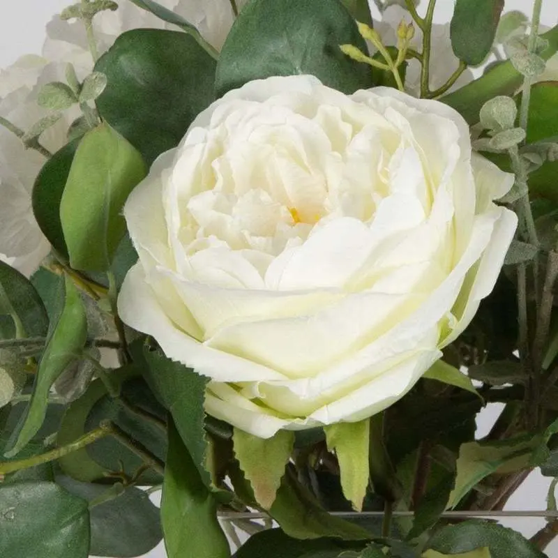 Rosewood Garden Plant - Image 3