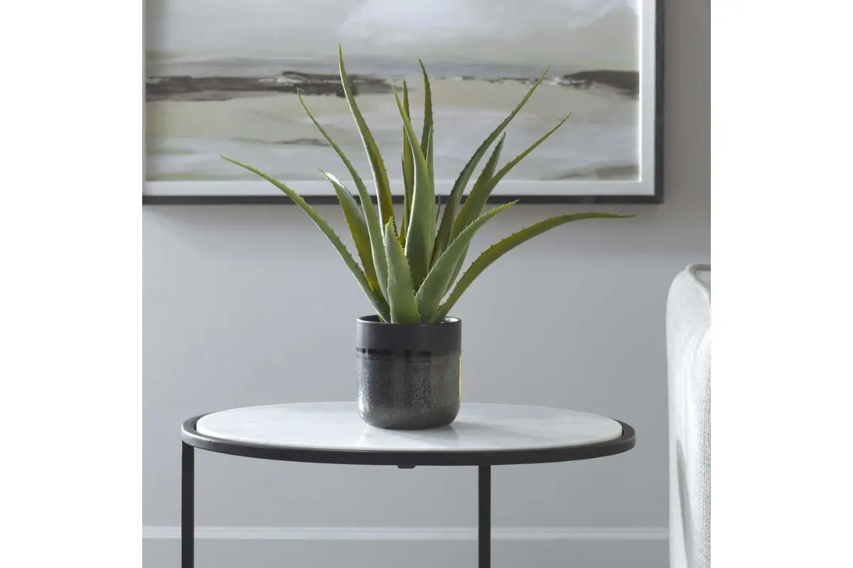 Tucson Plant - Image 2